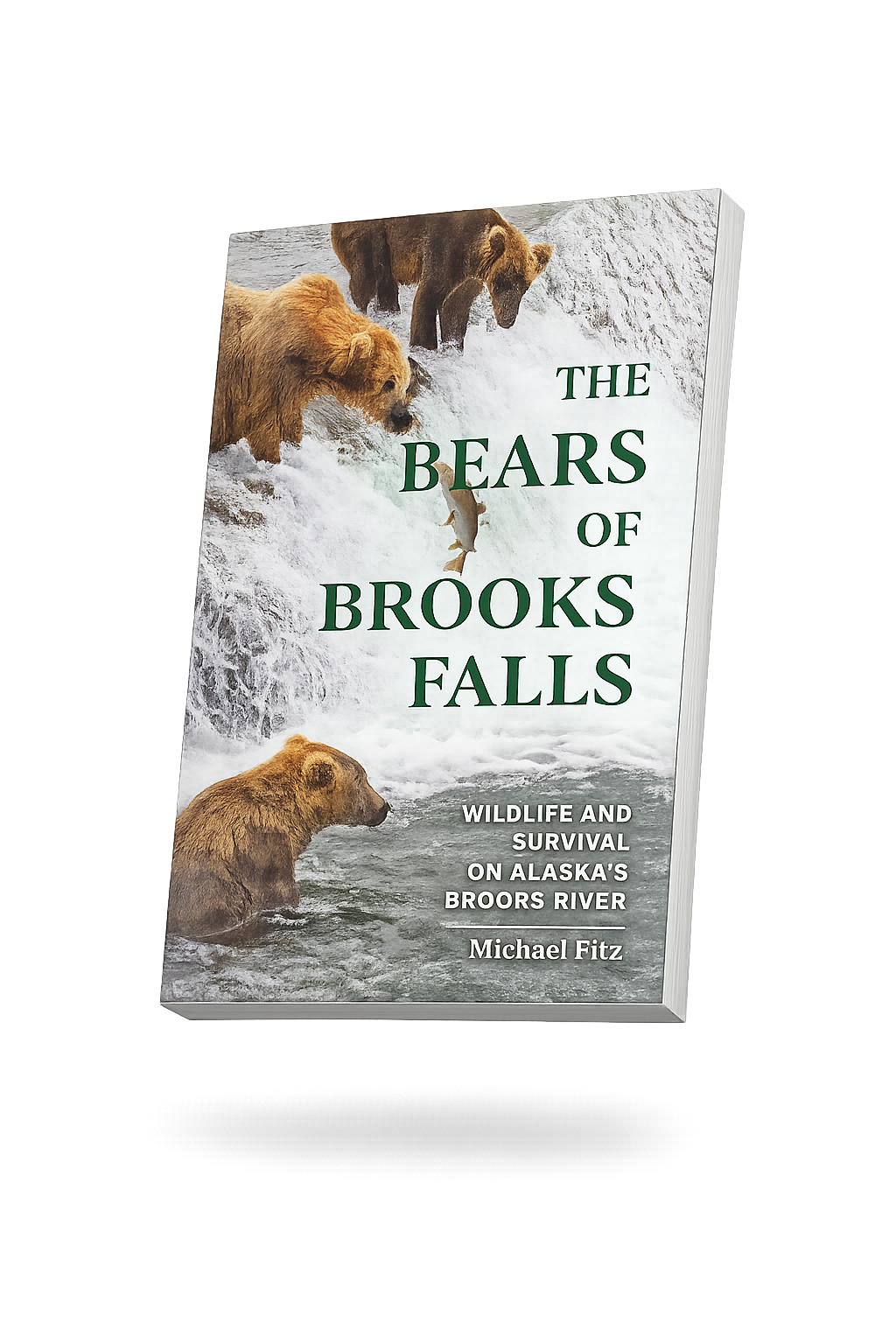 The Bears of Brooks Falls - Mike Fitz-1