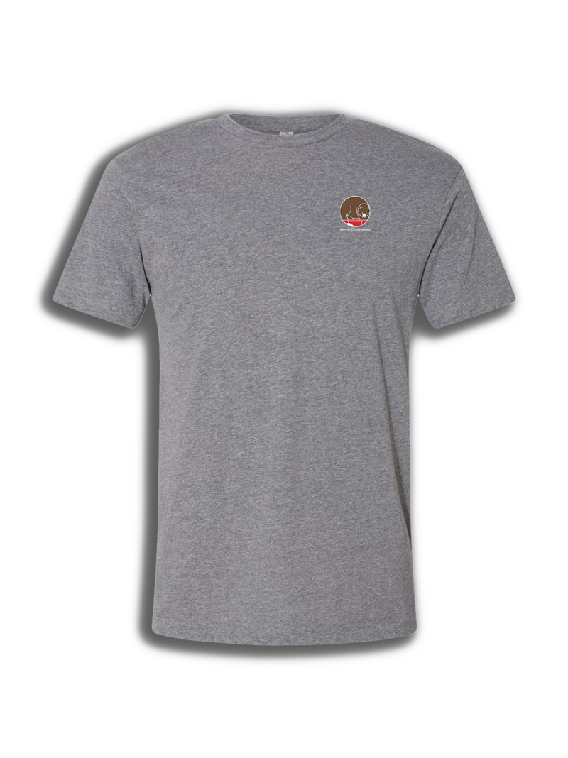 Katmai Brooks Falls T-shirt-2