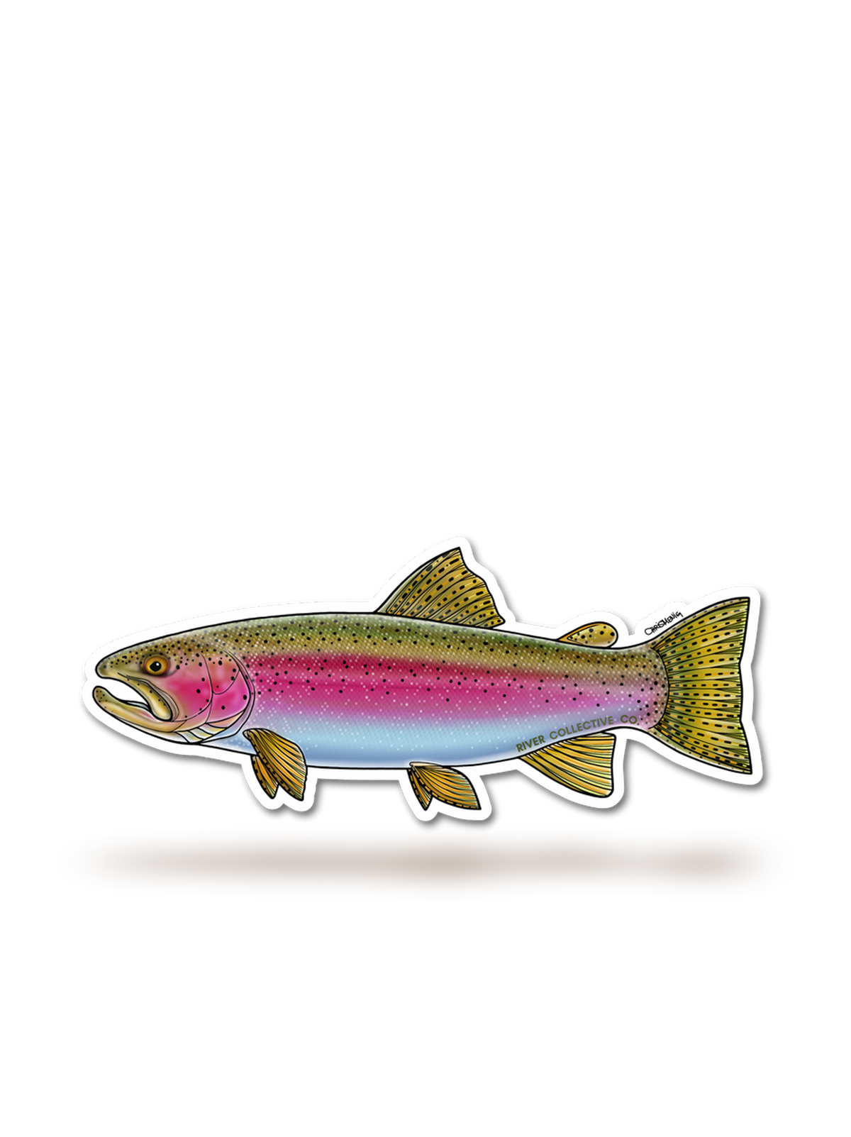 Rainbow Trout Sticker