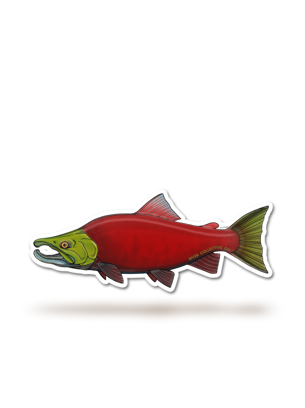 Sockeye Salmon Spawn Sticker